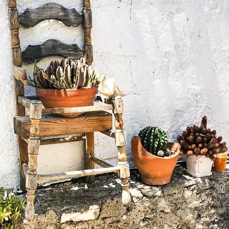 Myrtia - Cretan *